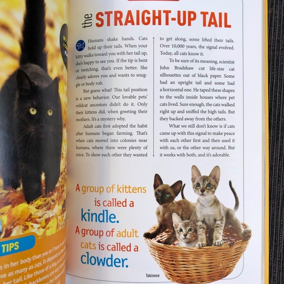 ๐ National Geographic Kids - How To Speak Cat (Bundle & Save) ๐ - Picture 4 of 4